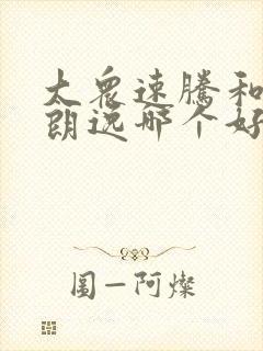大众速腾和大众朗逸哪个好