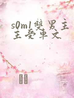 s0m1双男主主受车文