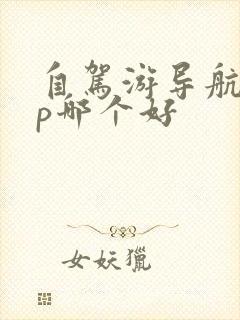 自驾游导航app哪个好