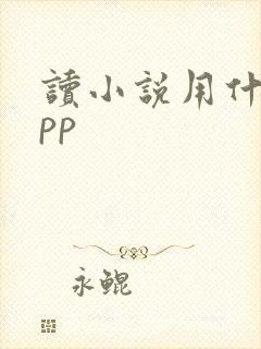 读小说用什么app