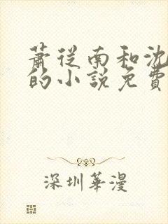 萧从南和沈梦清的小说免费阅读