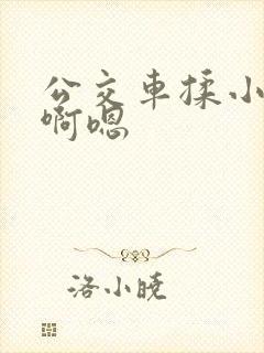 公交车揉小雯胸啊嗯