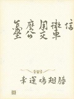 怎么用微信付款坐公交车