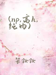 (np,高h,纯肉) (np,高h,纯肉)