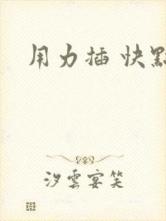 用力插 快点