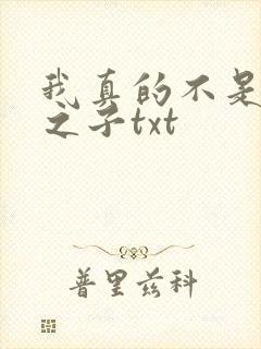 我真的不是气运之子txt