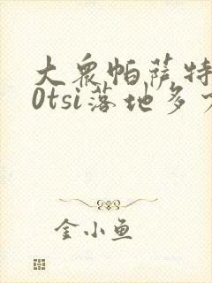 大众帕萨特330tsi落地多少钱