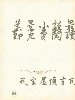 叶晨小说最新章节免费阅读全文