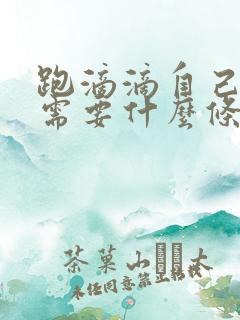 跑滴滴自己的车需要什么条件
