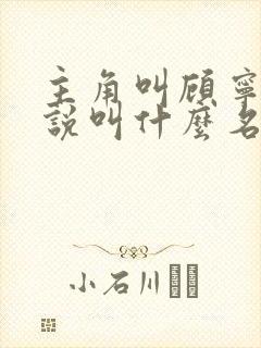 主角叫顾宁的小说叫什么名字