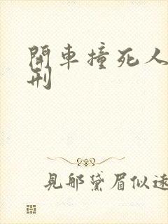 开车撞死人 判刑