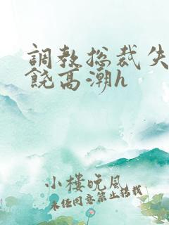调教总裁失禁求饶高潮h