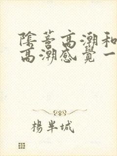阴蒂高潮和阴道高潮感觉一样吗