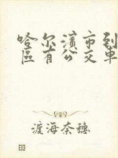 哈尔滨市到阿城区有公交车吗