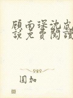 顾南琛沈岚晚小说免费阅读最新章节更新