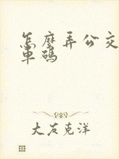 怎么弄公交车乘车码