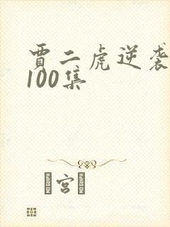 贾二虎逆袭人生100集