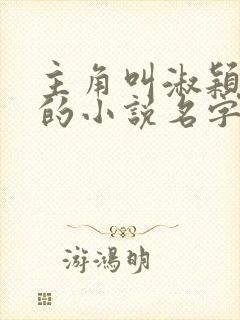 主角叫淑颖天宁的小说名字