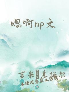 嗯啊np文