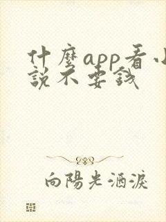 什么app看小说不要钱