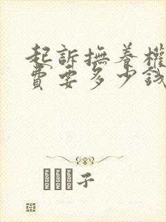 起诉抚养权律师费要多少钱