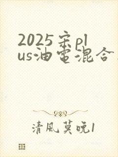 2025宋plus油电混合版