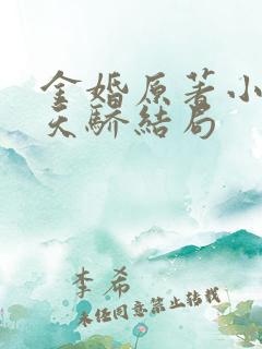 金婚原著小说李天骄结局