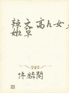 辣文高h女老牛嫩草