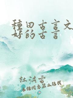 种田古言文笔超好的古言