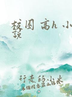 校园 高h 小说