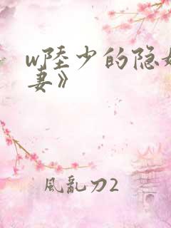 w陆少的隐婚罪妻》