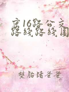 密16路公交车路线路线图