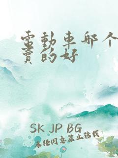 电动车哪个牌子卖的好