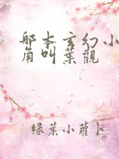 哪本玄幻小说主角叫叶观