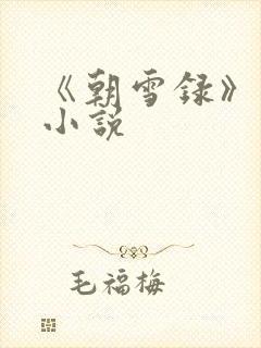 《朝雪录》原著小说