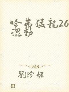 哈弗猛龙26款混动