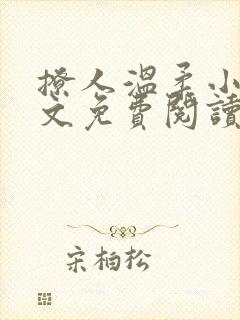 撩人温柔小说全文免费阅读无弹窗