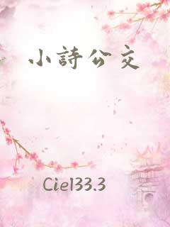 小诗公交