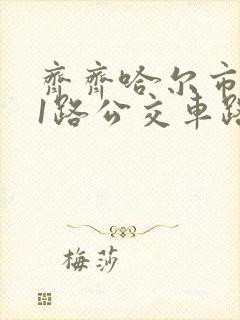 齐齐哈尔市111路公交车路线图