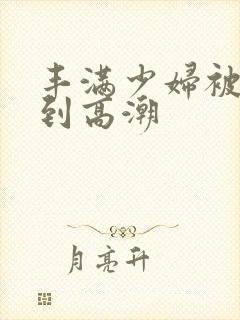 丰满少妇被躁爽到高潮