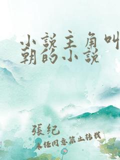 小说主角叫赵援朝的小说