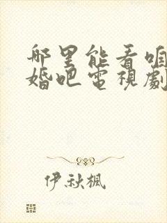 哪里能看咱们结婚吧电视剧