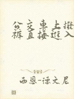 公交车上拨开内裤直接进入
