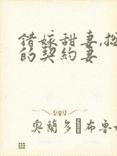 错嫁甜妻,总裁的契约妻