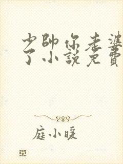 少帅你老婆又跑了小说免费听书