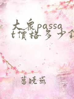 大众passat价格多少钱330tsi