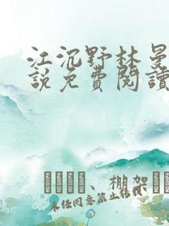 江沉野林曼琪小说免费阅读最新章节 江沉野林曼琪小说免费阅读最新章节