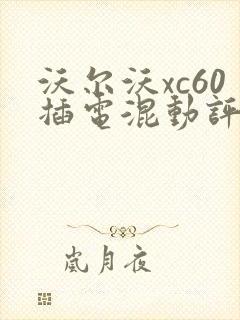 沃尔沃xc60插电混动评测