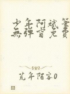 少年阿斌笔趣阁无弹窗免费阅读