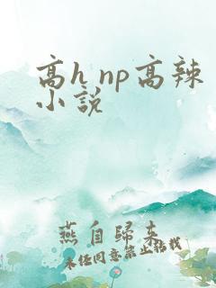 高h np高辣小说